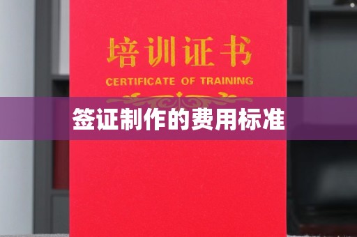 陕县签证制作的费用标准