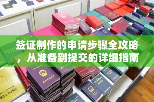 大寮签证制作的申请步骤全攻略，从准备到提交的详细指南